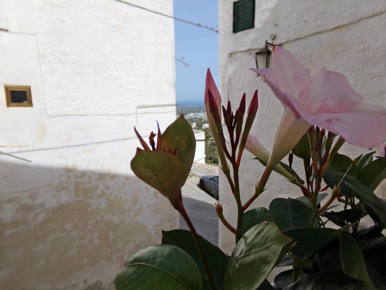 Le Tre Volte Villa Ostuni Dış mekan fotoğraf